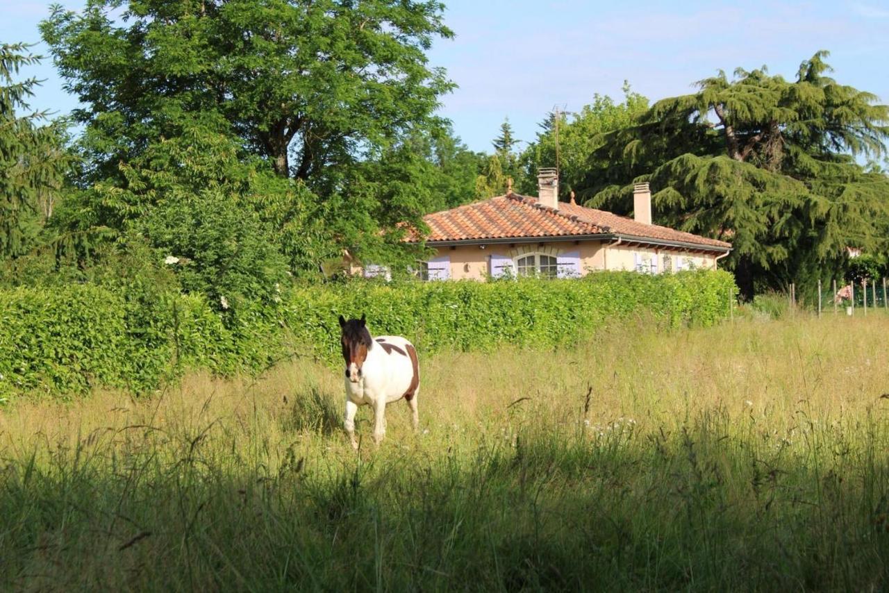 Gite De La Meronne Vindelle Exterior foto